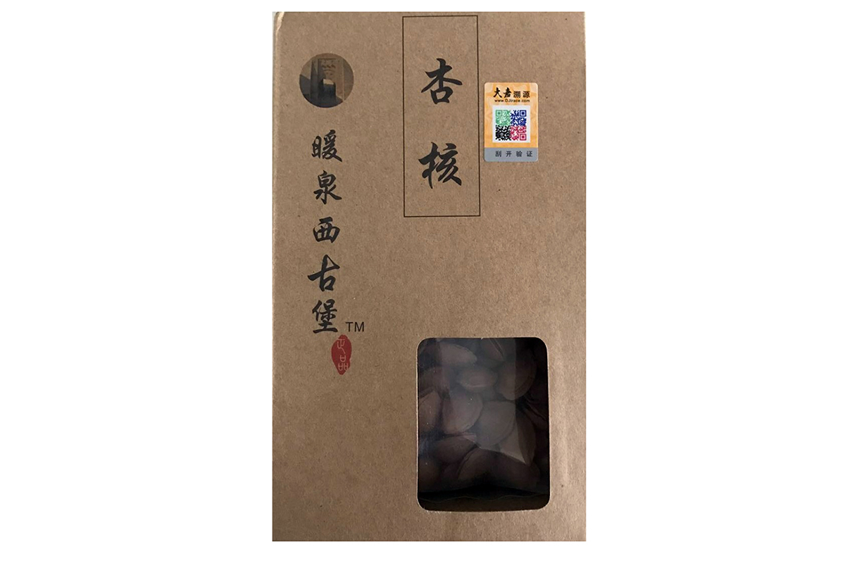 杏核