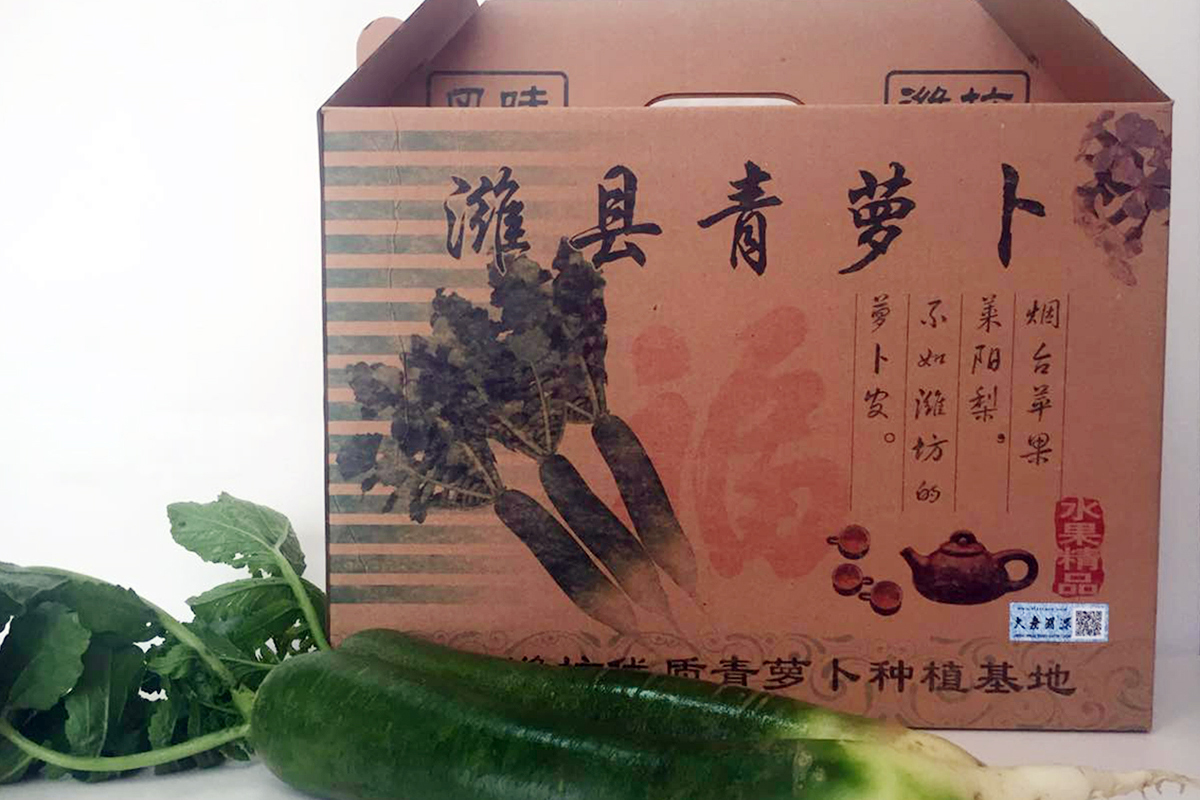 潍县青萝卜