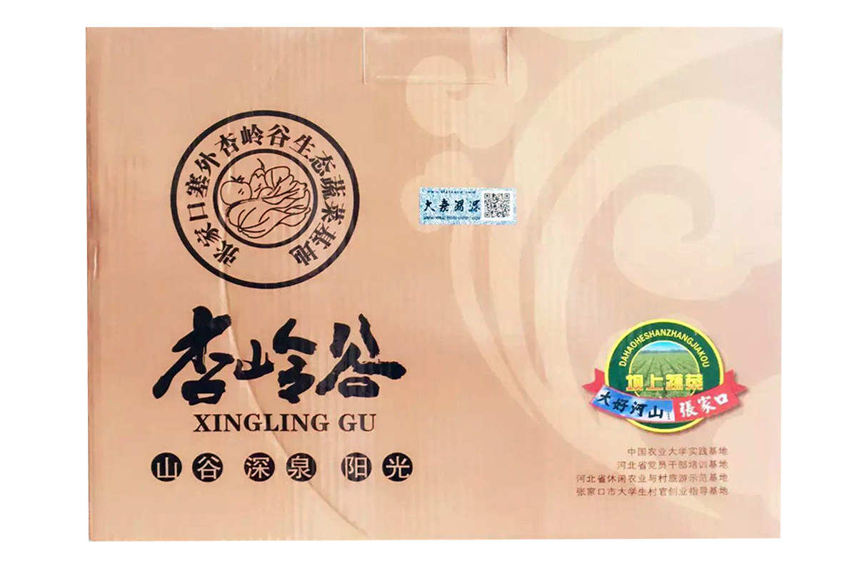 大番茄