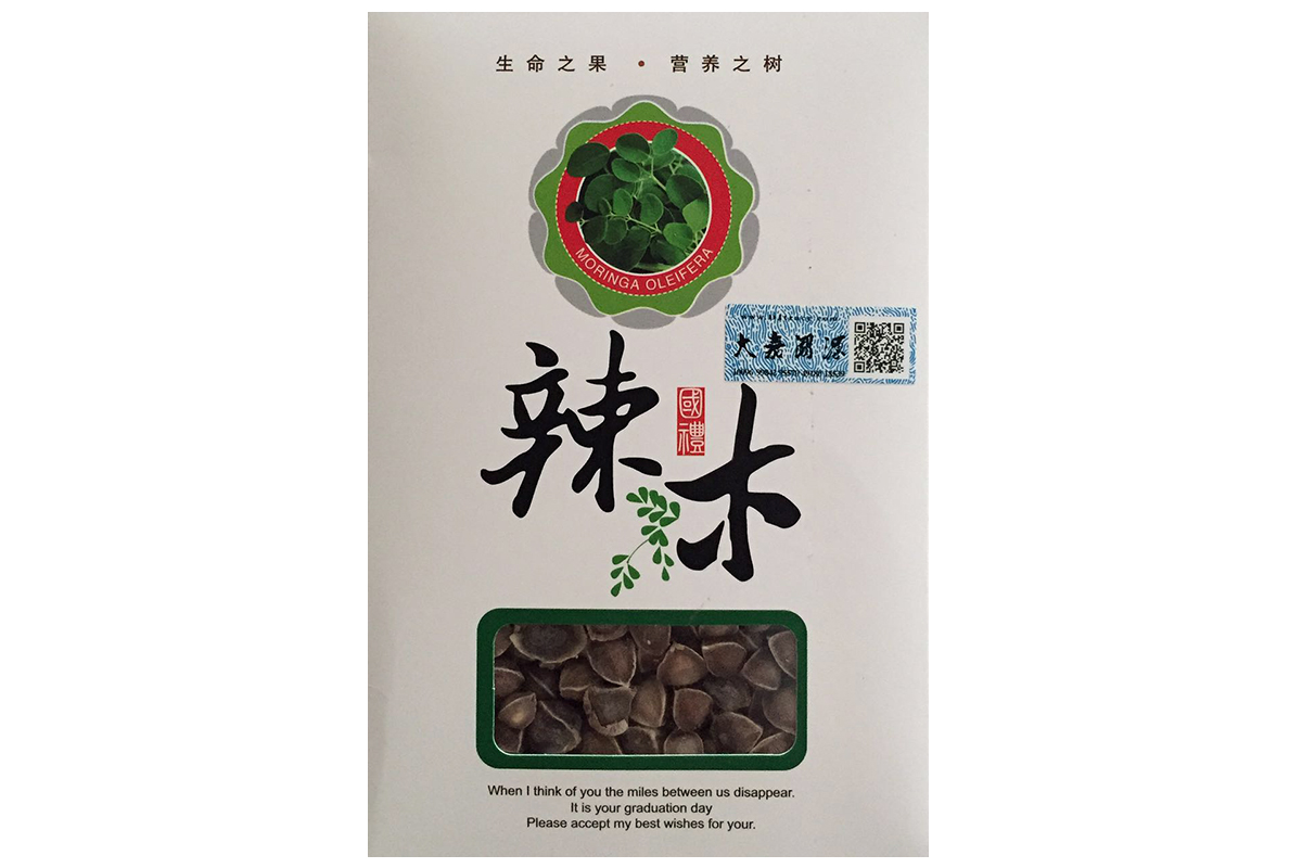辣木籽